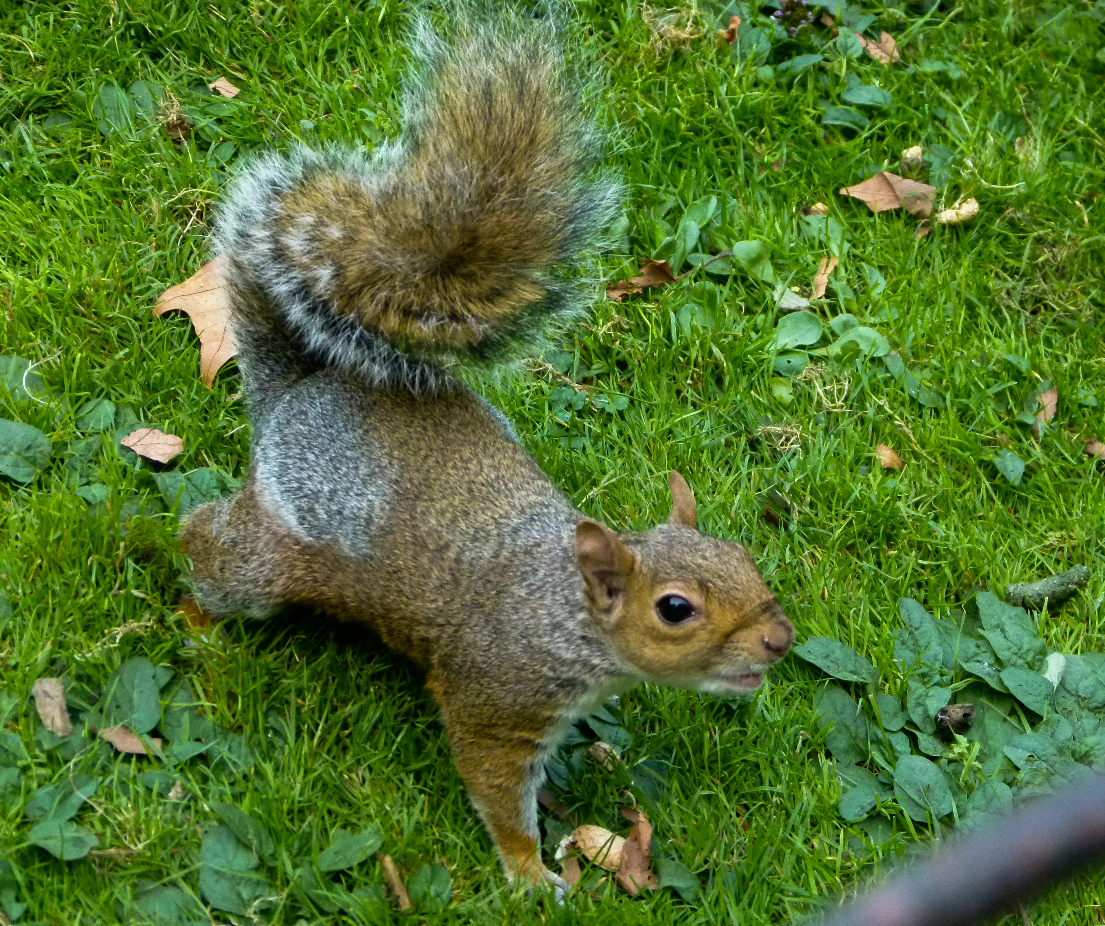 Photo by luizagiannelli