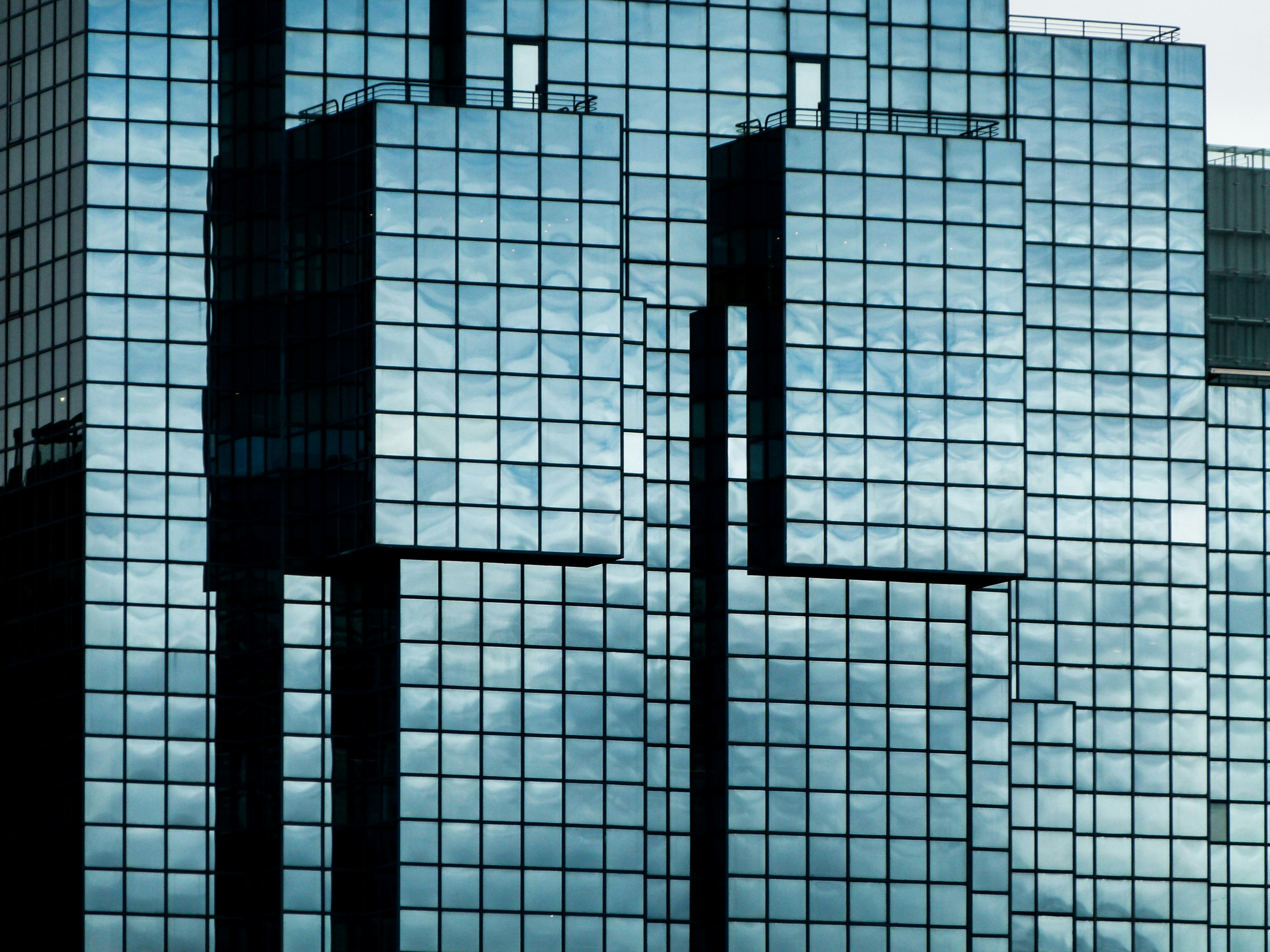 Photo by luizagiannelli