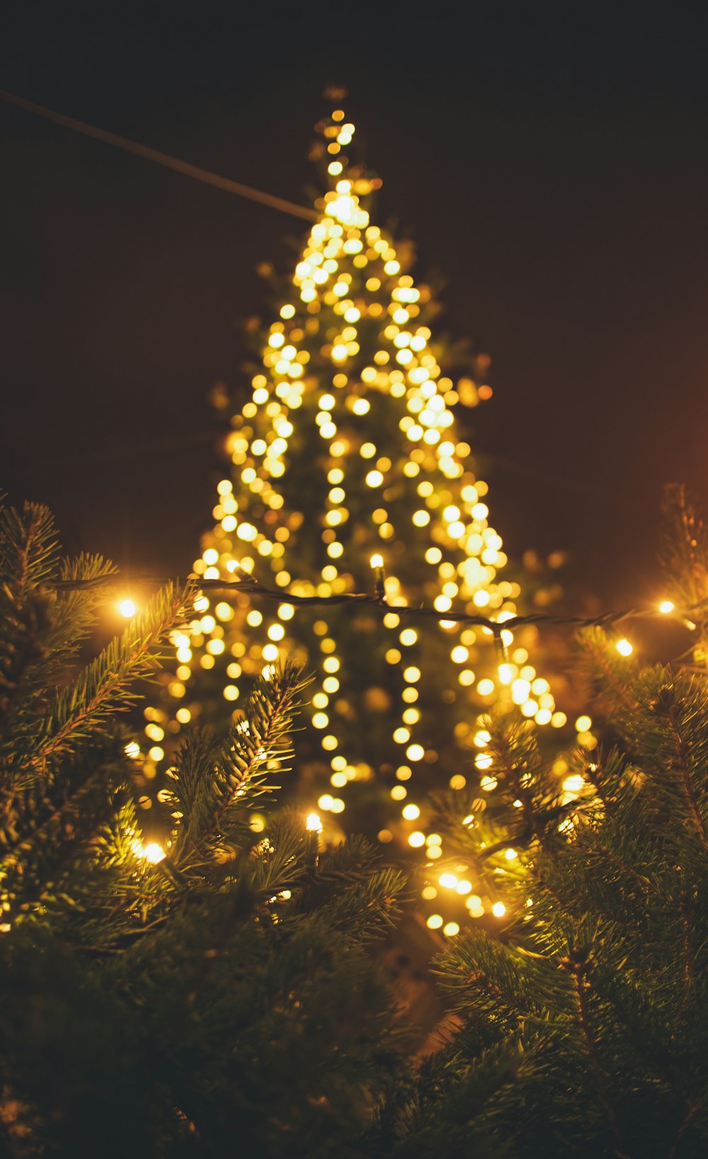 Christmas Tree Lights Pictures | Download Free Images on Unsplash