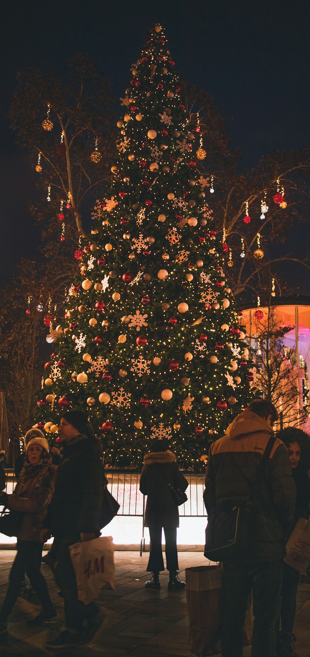 people standing near outdoor Christmas tree during night time