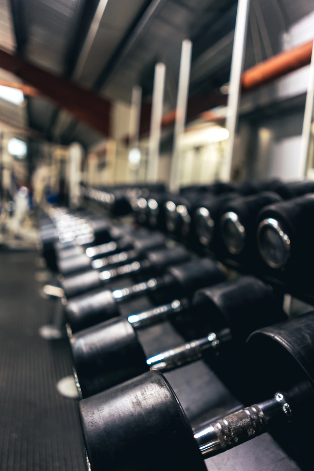 Interior del gimnasio