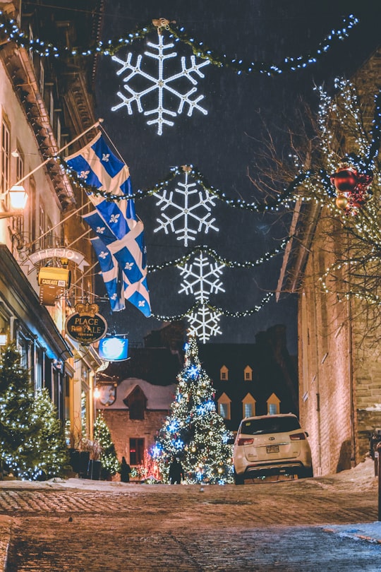 brown concrete buildings and Christmas tree in Quebec City Canada