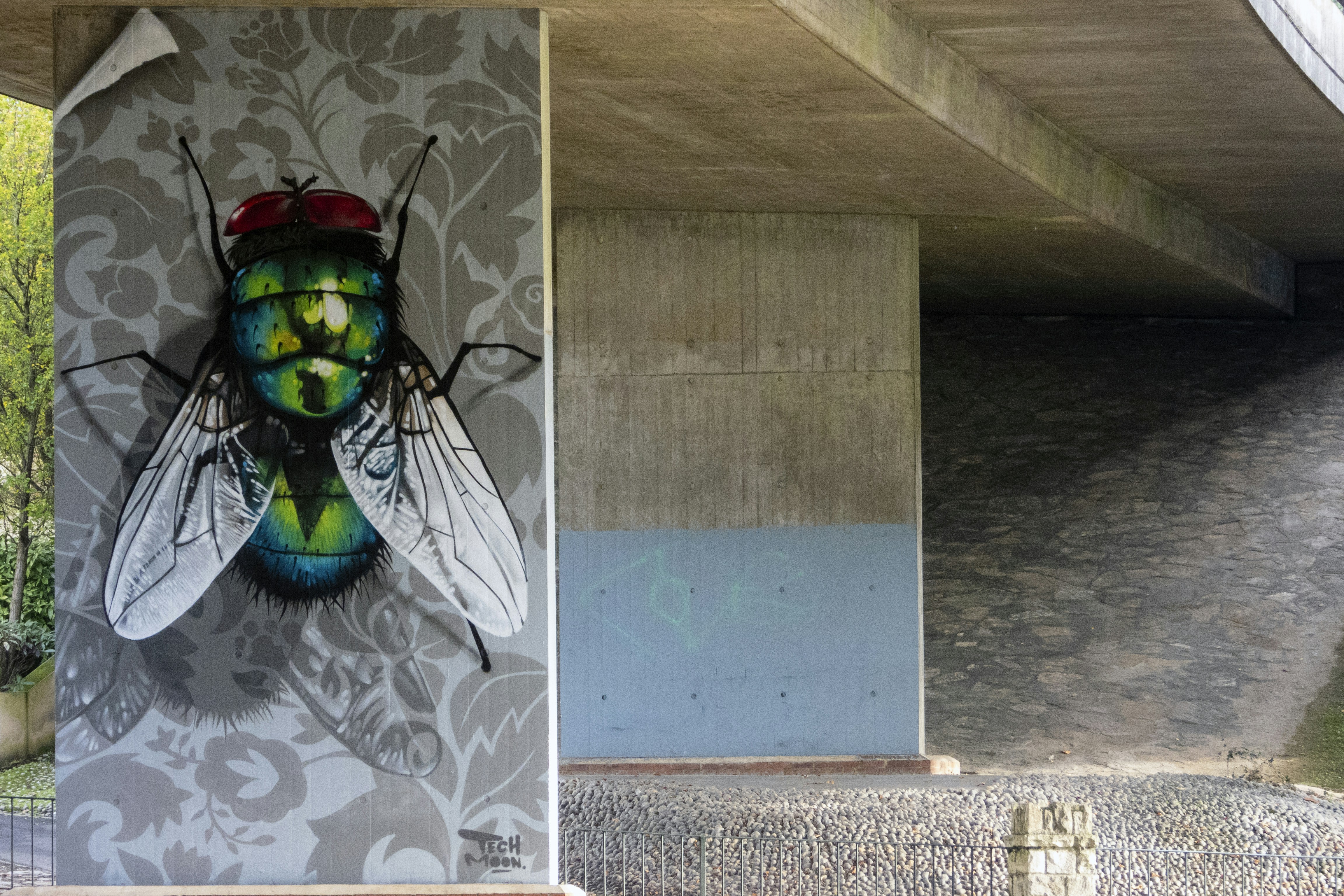 緑と黒のフライのイラスト