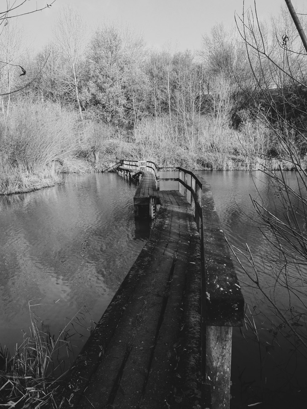 borwn wooden bridge