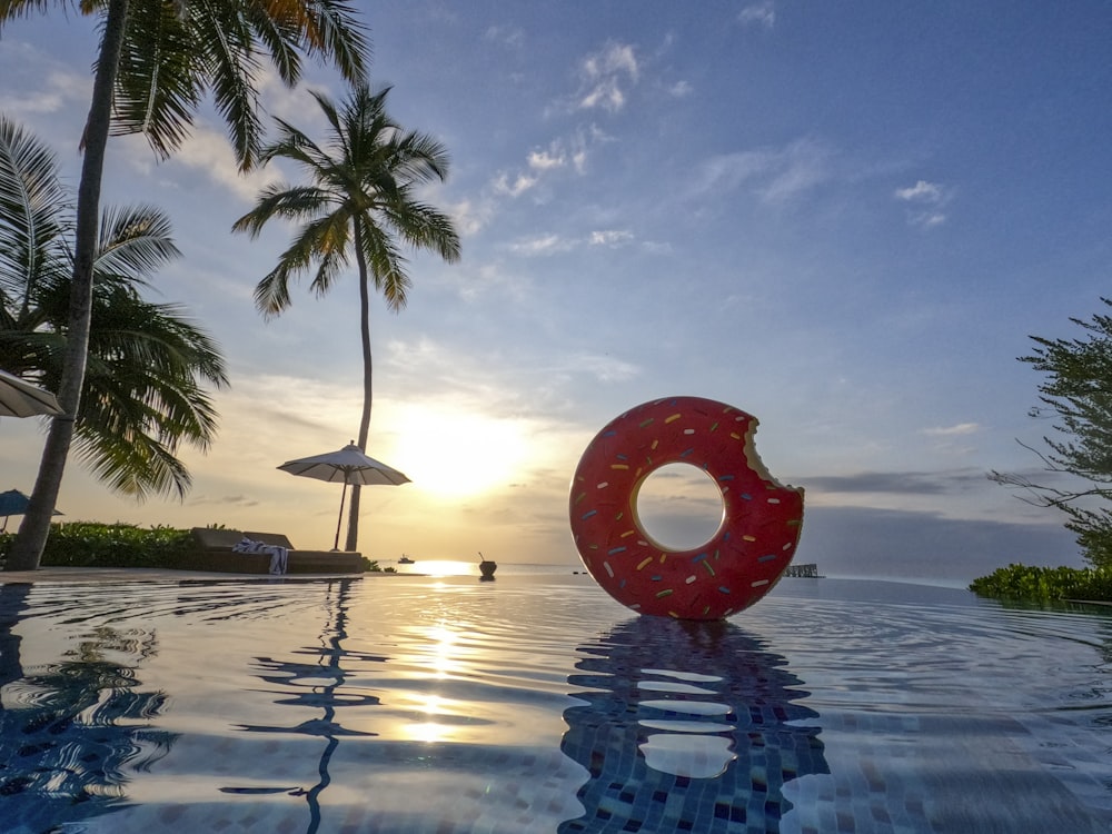 doughnut floater on pool