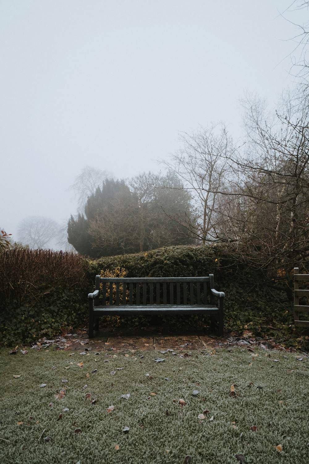gray wooden bench on green field surrounded with green trees in foggy day