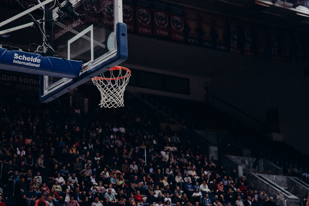 shallow focus photo of white and blue basketball hoop