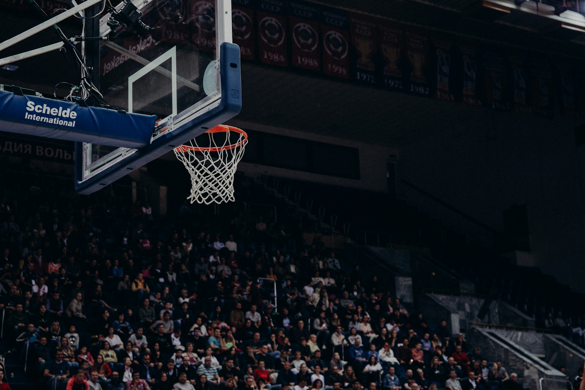 shallow focus photo of white and blue basketball hoop