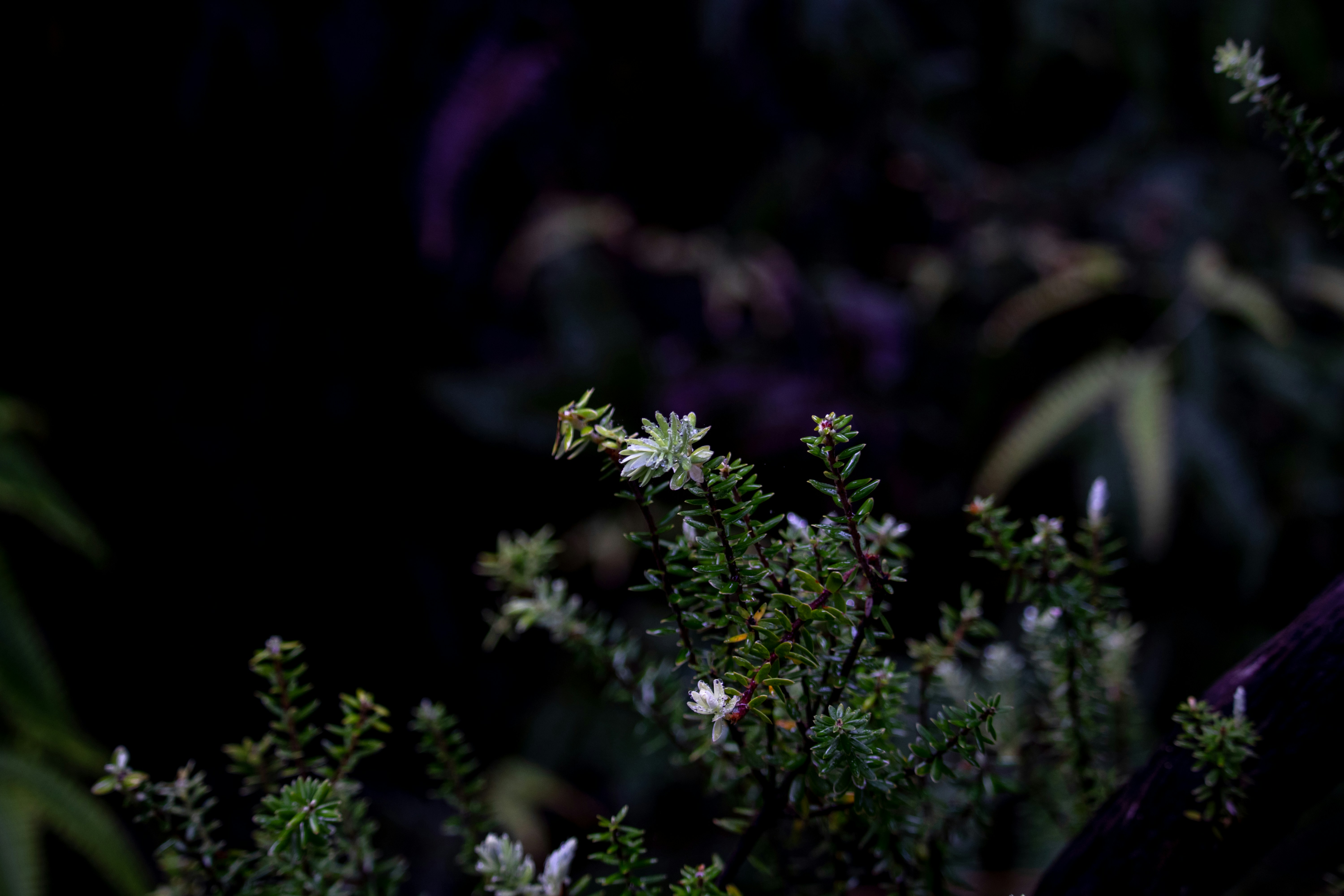 Photo by create4eyes