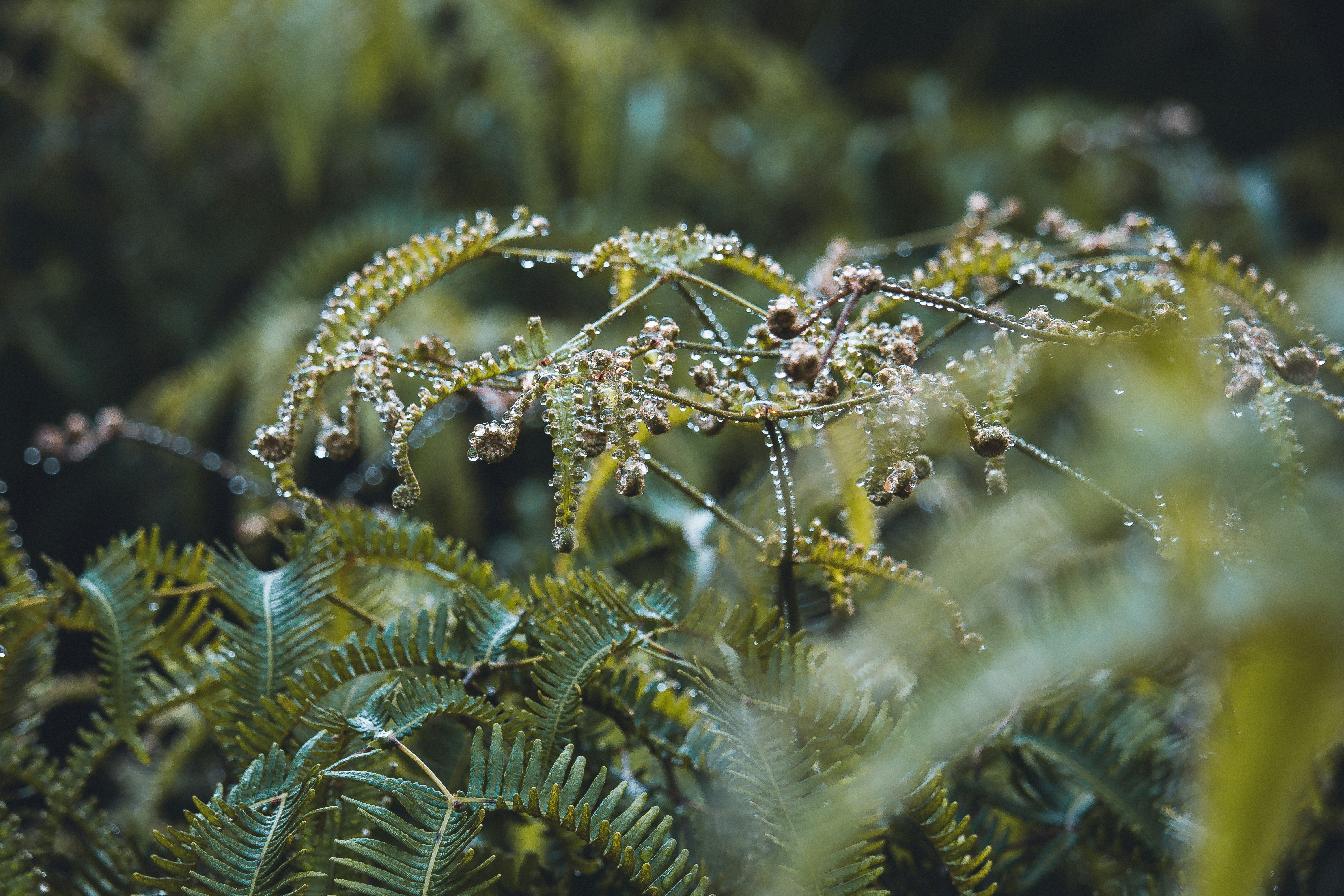 Photo by create4eyes