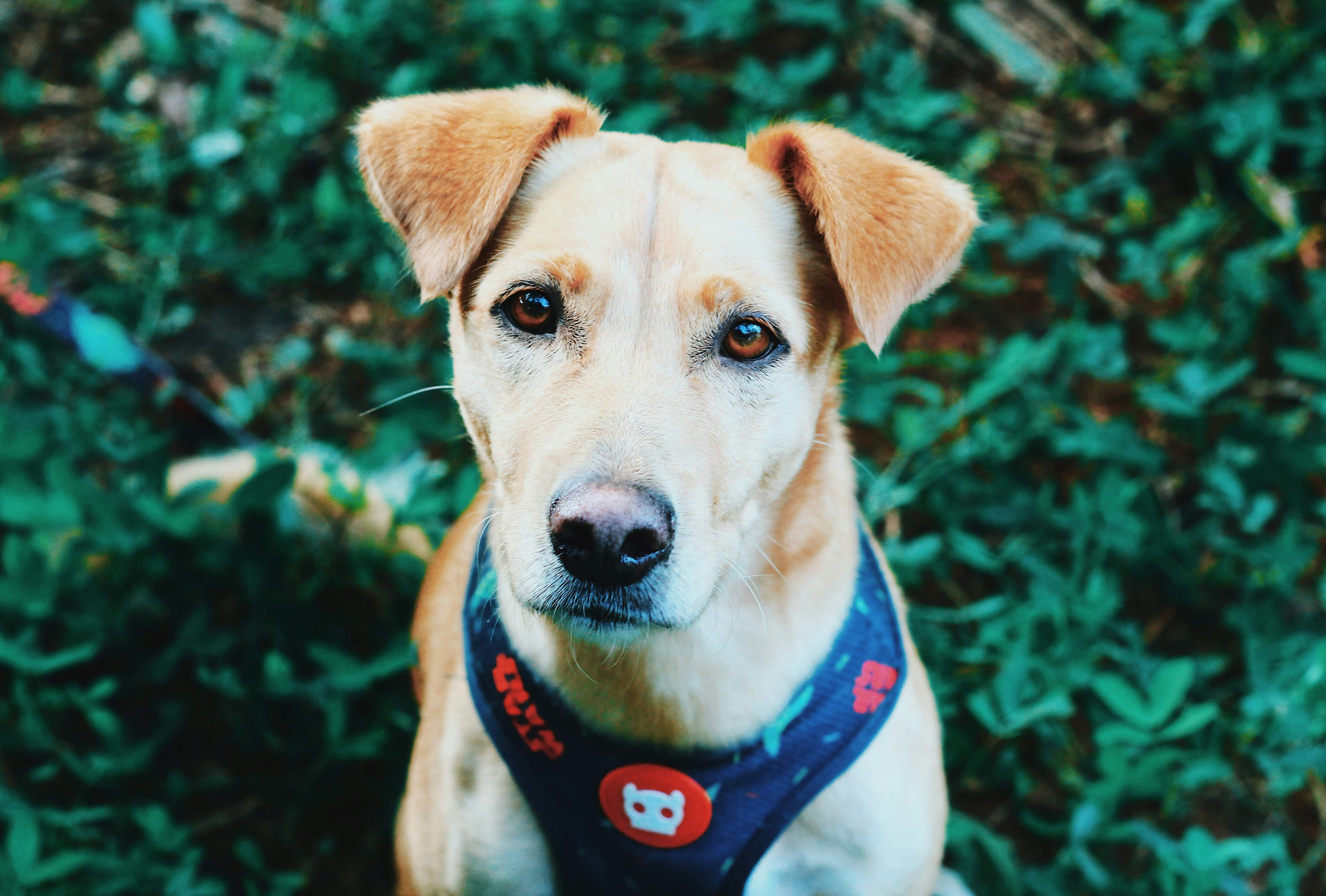 Photo by nathanareboucas