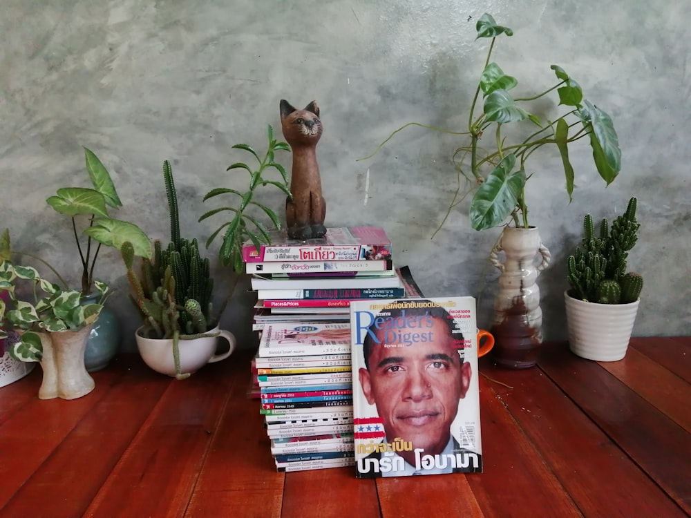 stack of magazines beside potted plants