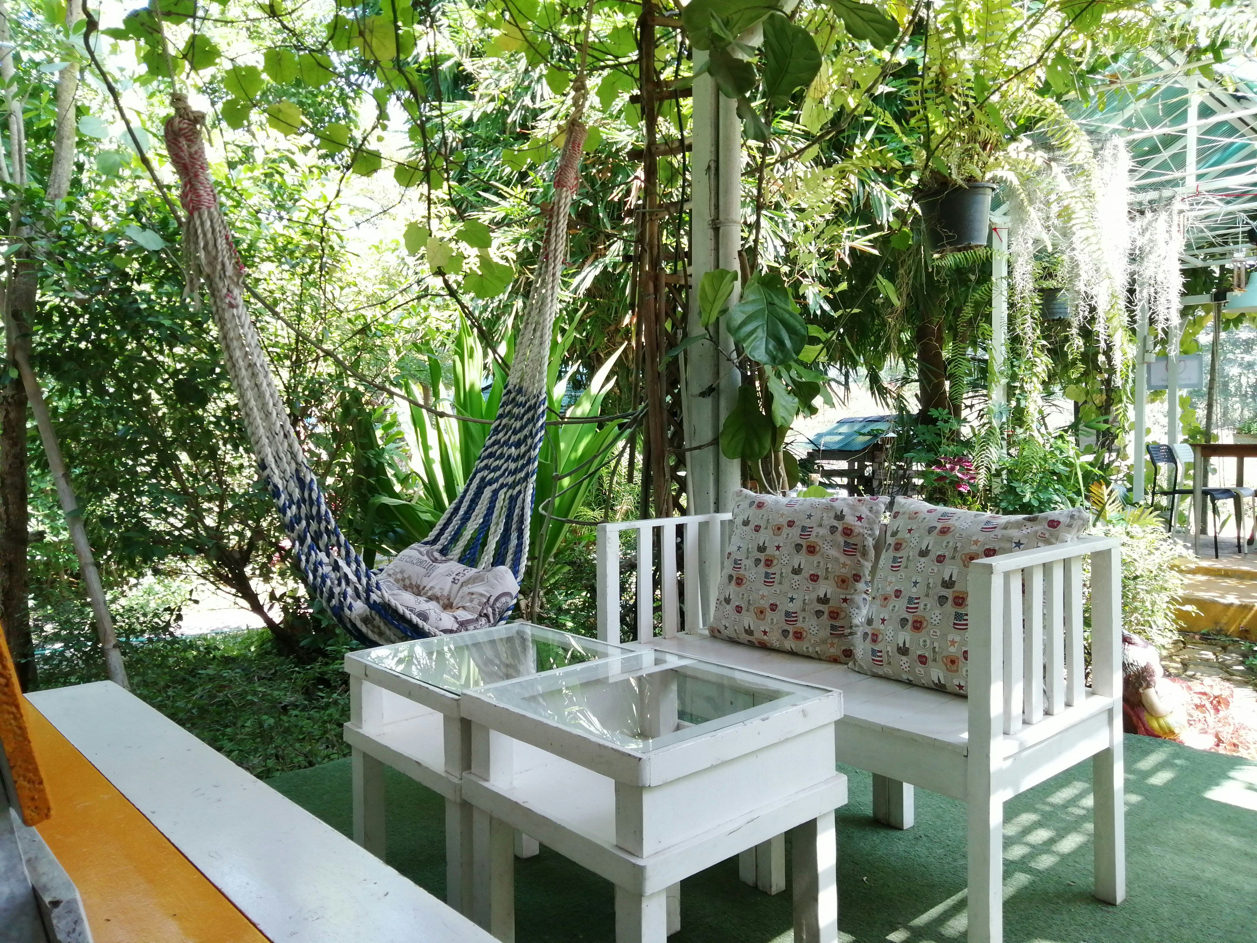 Photo by jrifeelgood