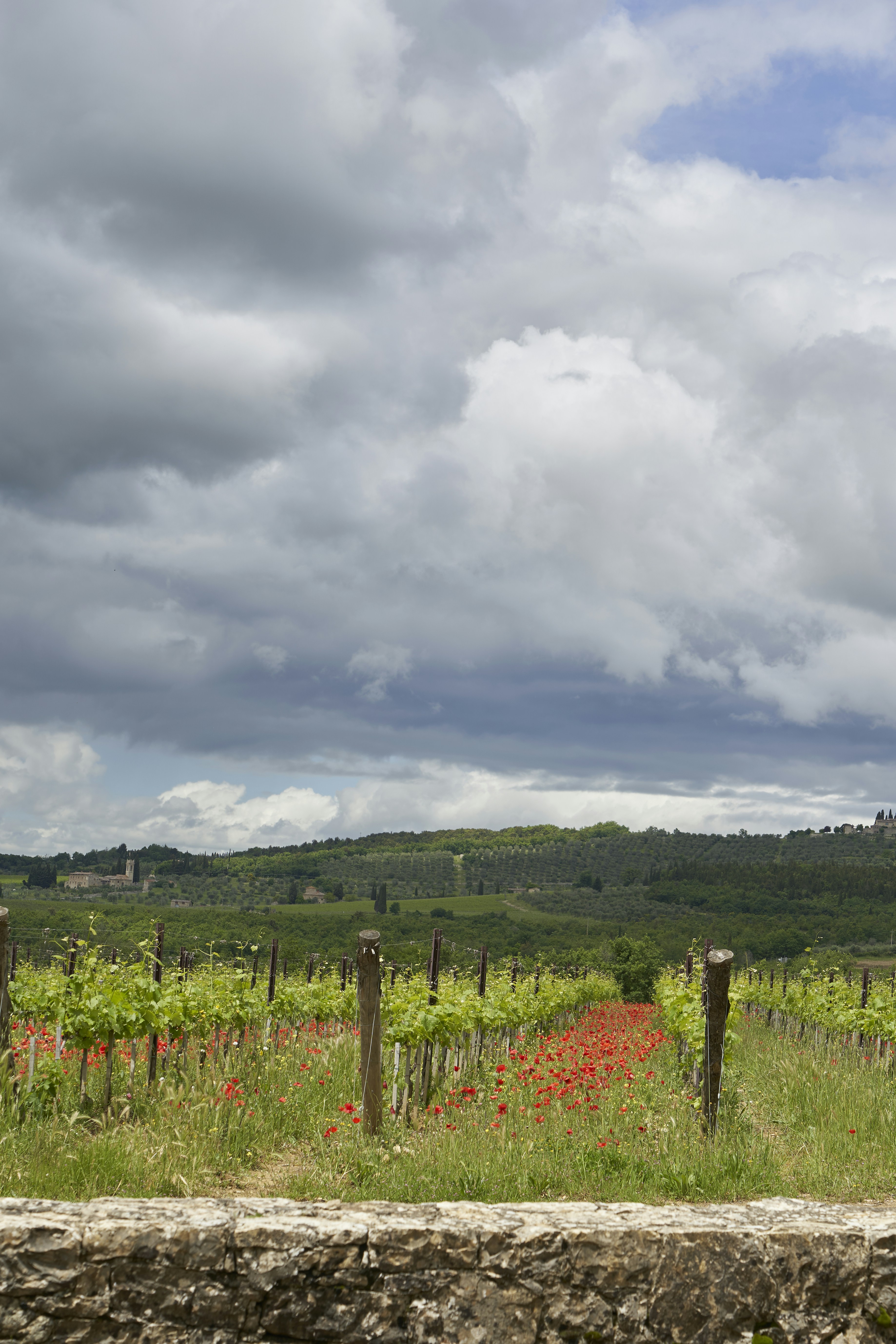 Photo by wolfgang_hasselmann