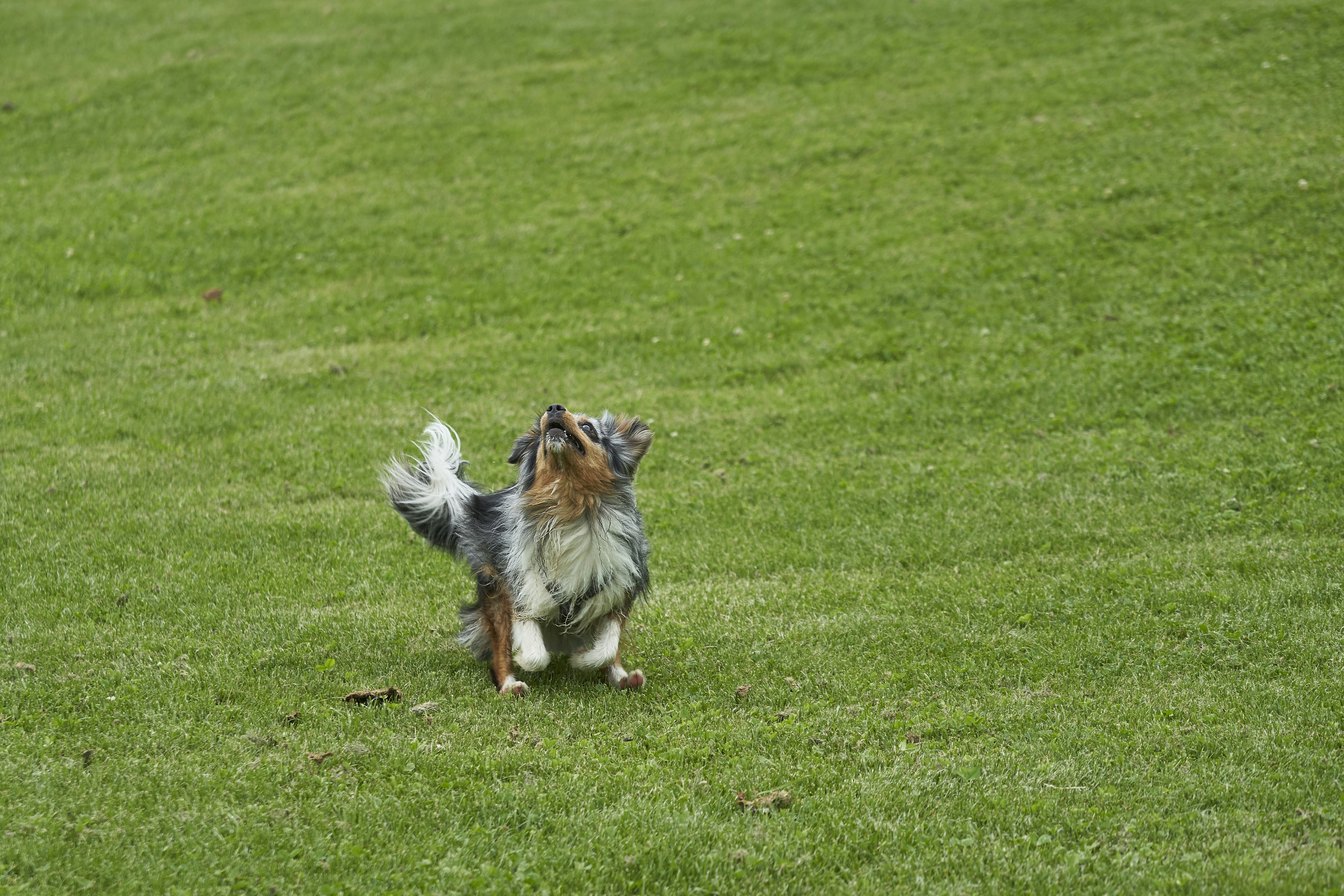 énergie investissement