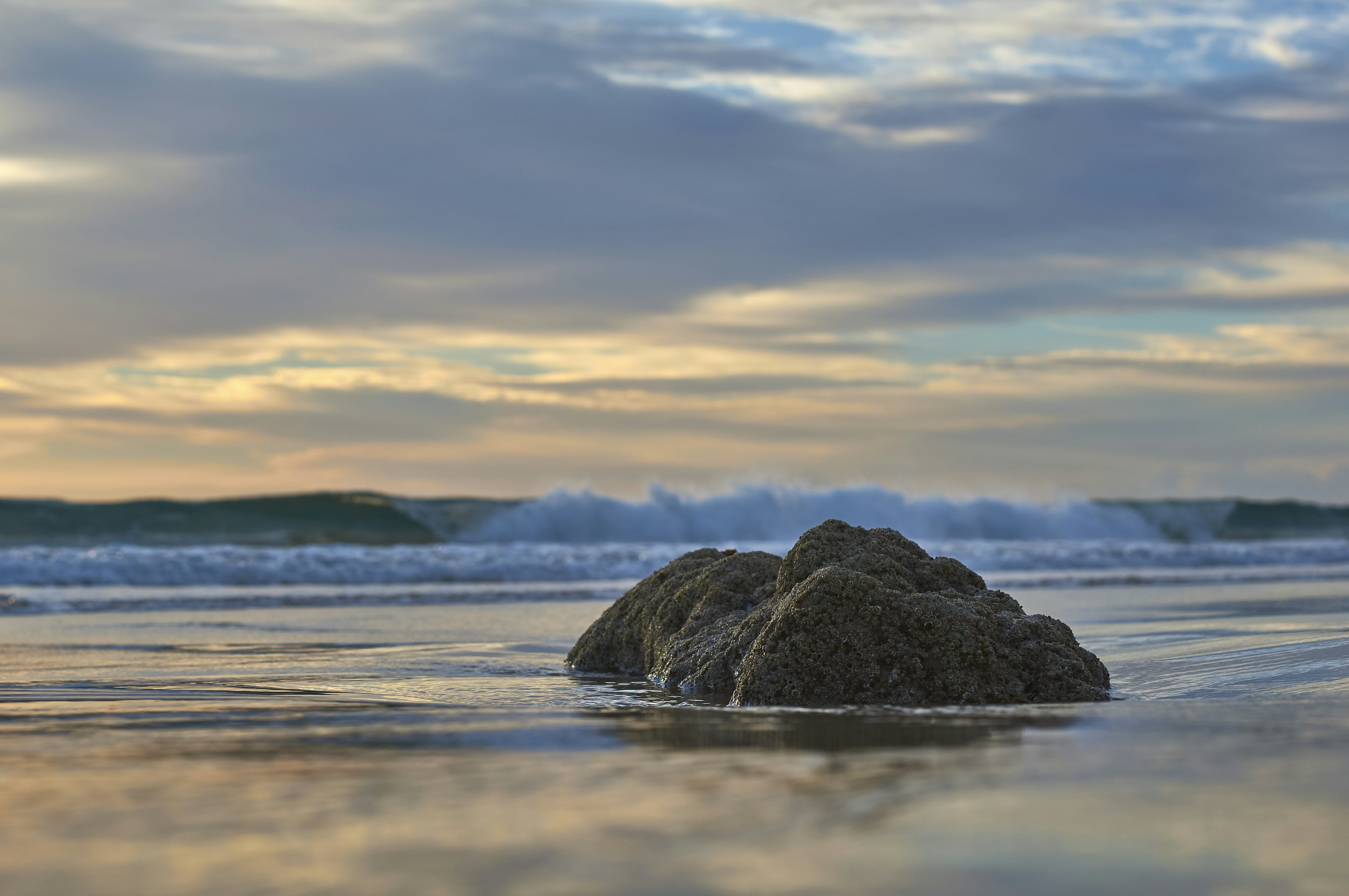 Photo by wolfgang_hasselmann