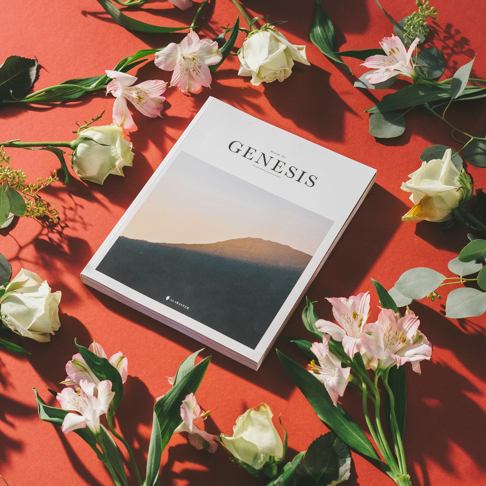ZEISS Loxia 50mm F2 sample photo. Genesis printed book by photography