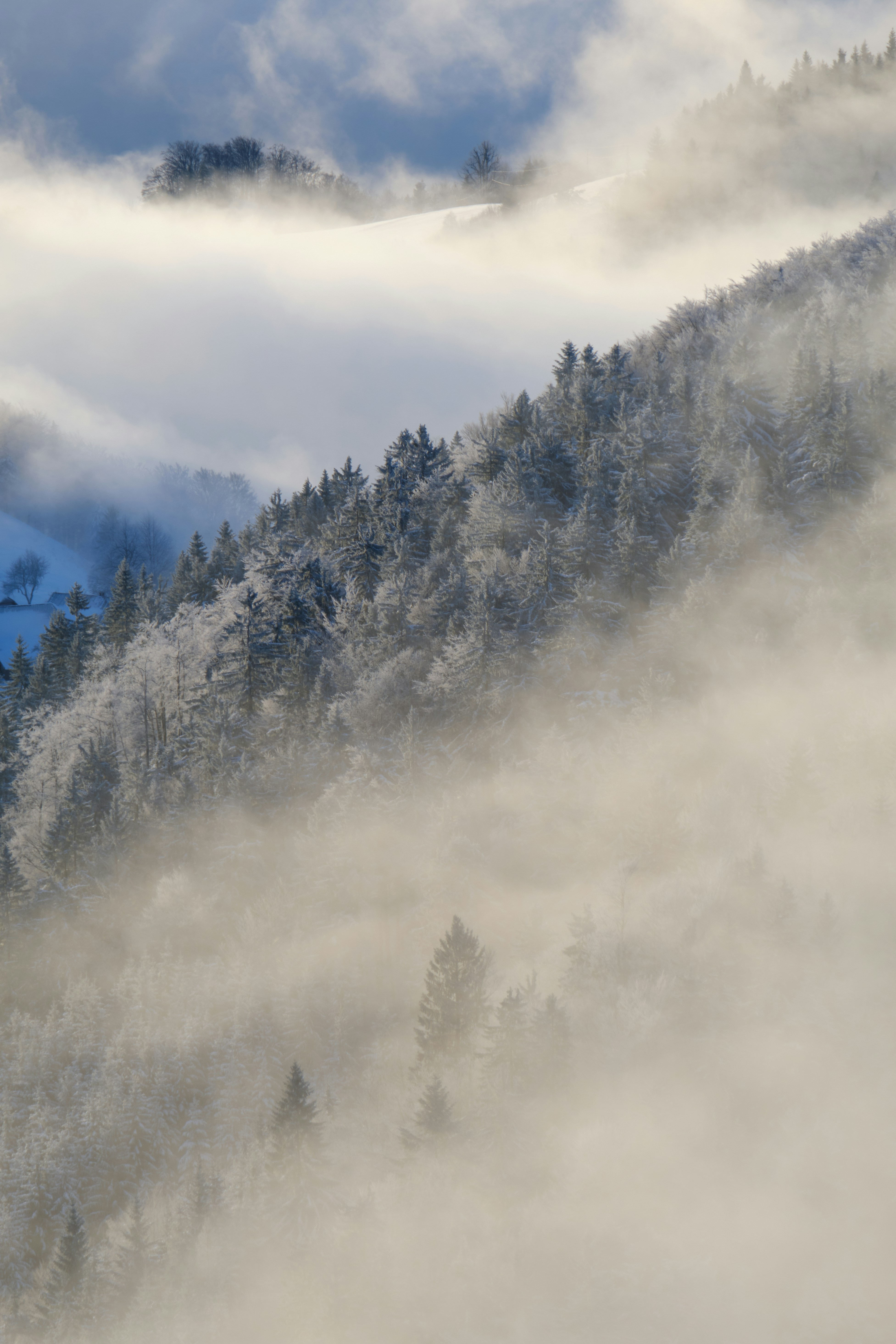 Photo by kristjankotar