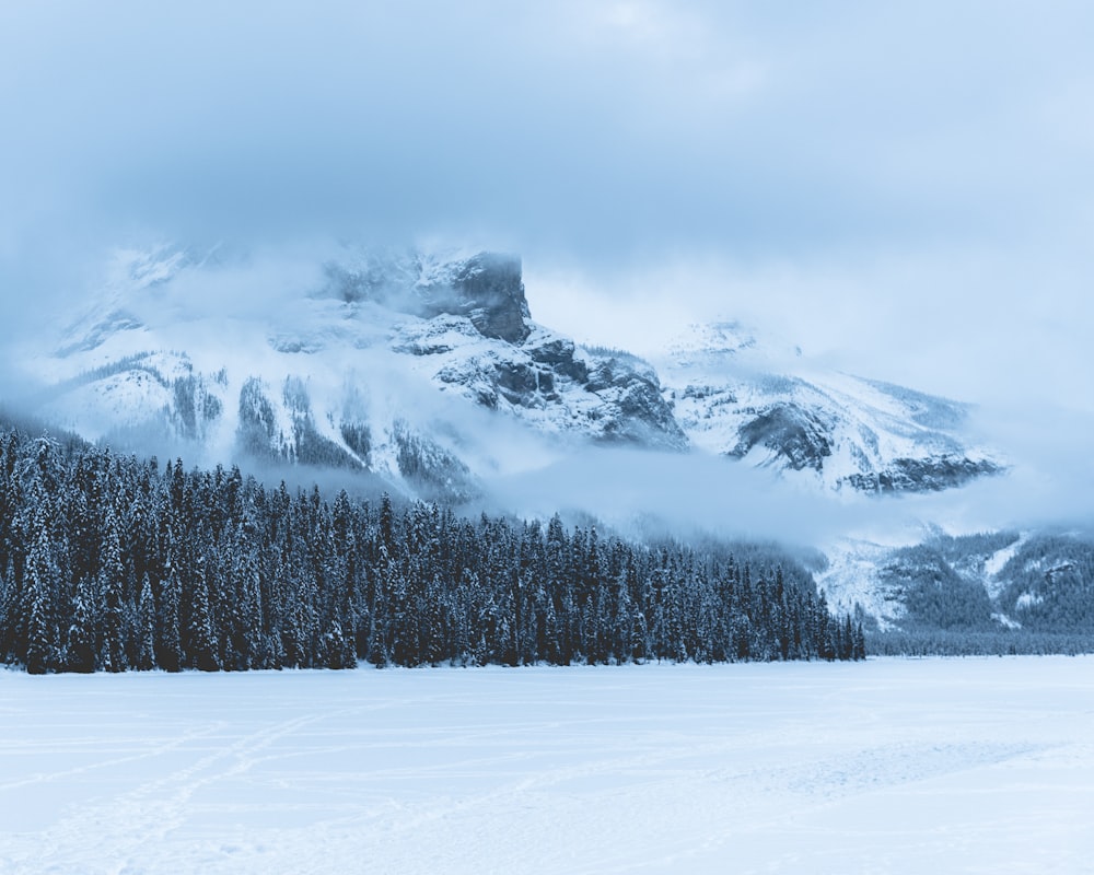 snowy mountain photograph