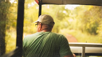 A person wearing a green shirt and a beige cap is seated in an open vehicle, looking out at a lush, blurred green forest. The image is taken from behind the person, capturing the serene natural surroundings and the sense of travel or exploration.