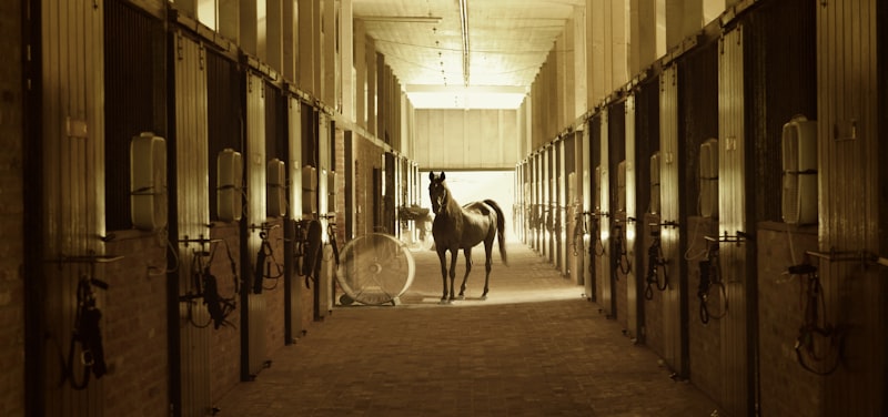Corredor de cocheiras iluminado, com um cavalo ao fundo