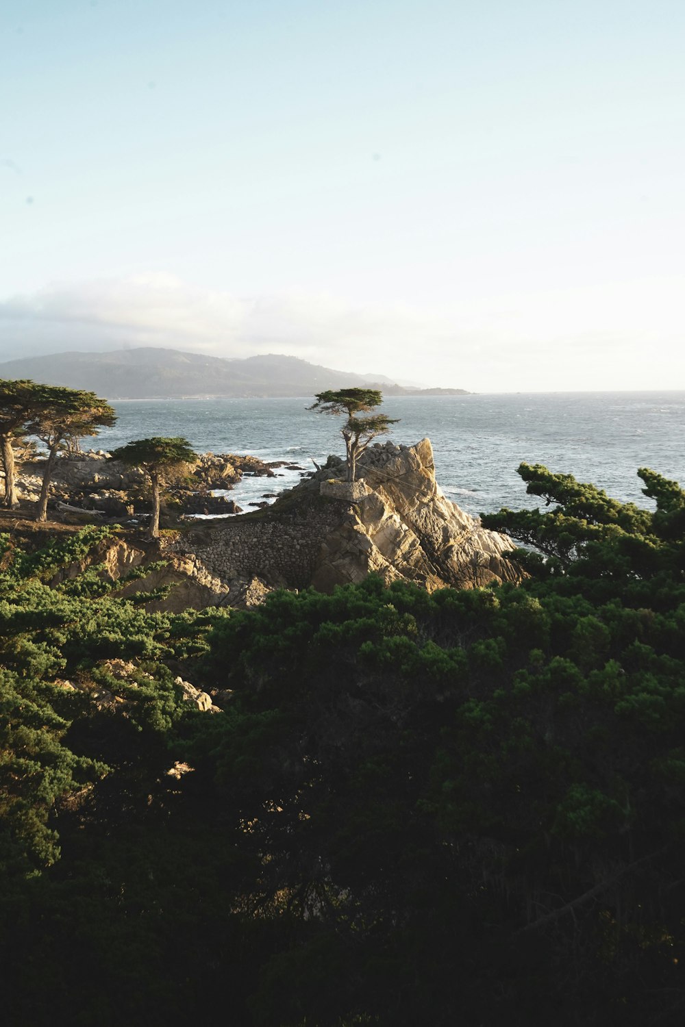 aerial photography of green trees in the mountain during daytime