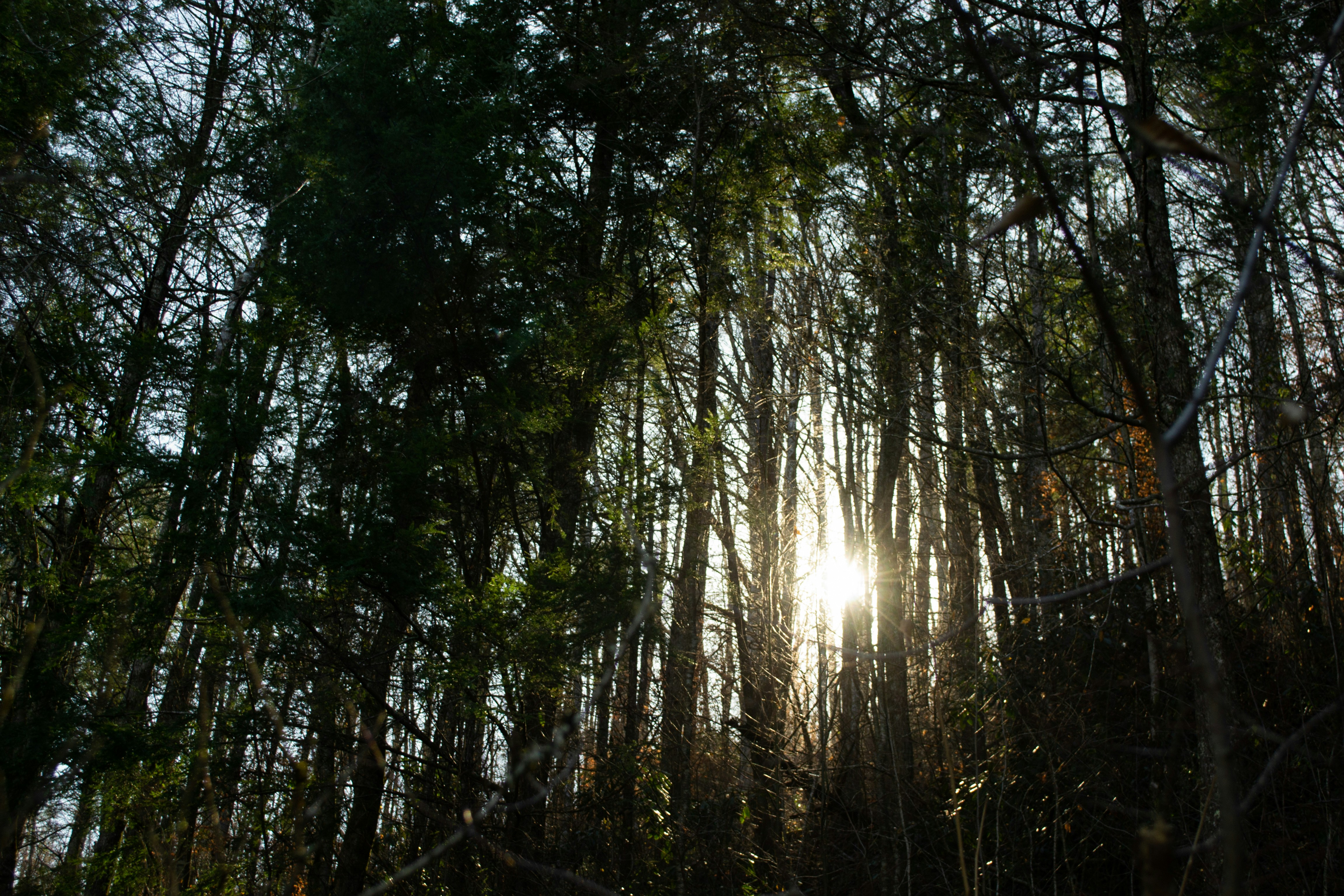 Blocery header image