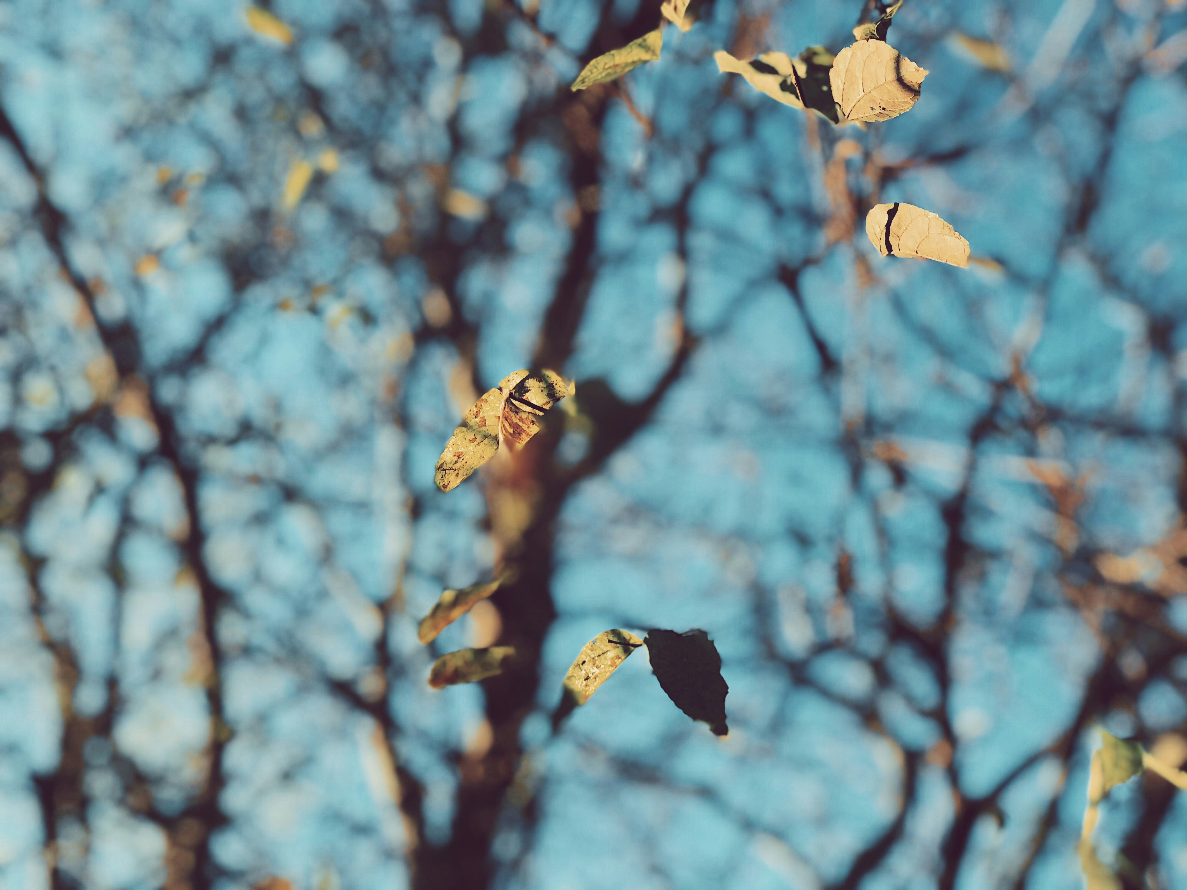 Photo by nickdepartee