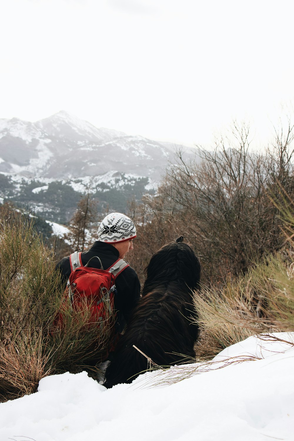 man hiking on mountain together with black dog during daytime