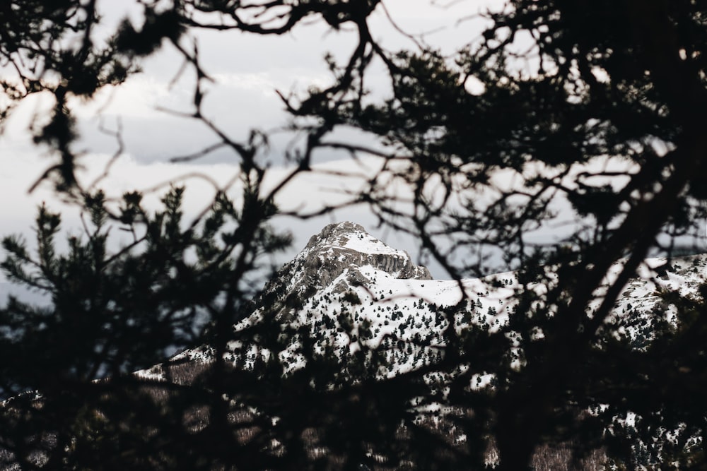 shallow focus photo of snow covered mountain