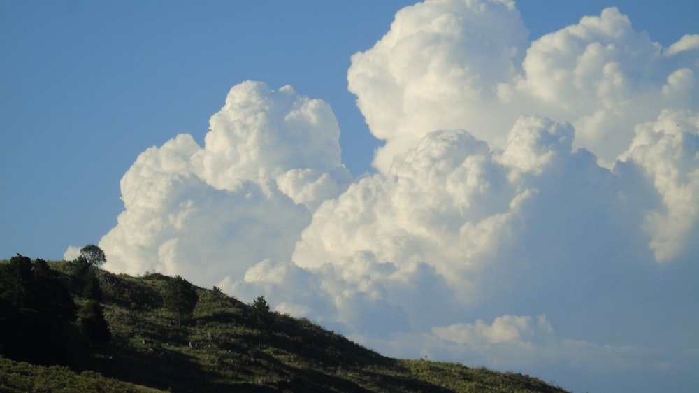 mountain and trees under white cloudy clouds