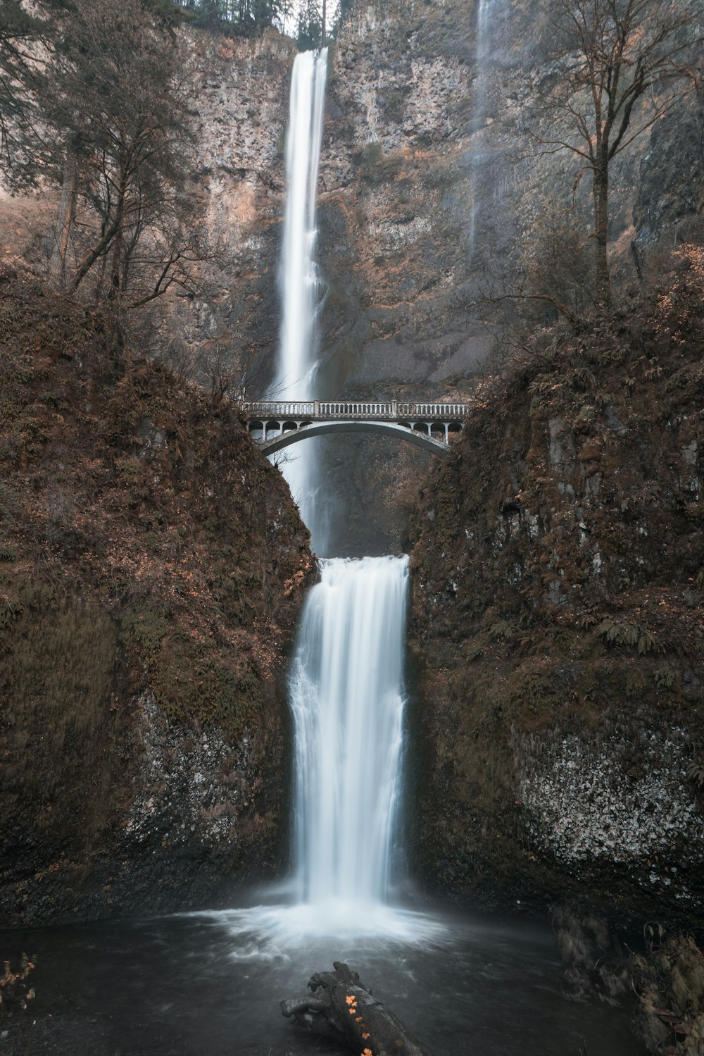 shallow focus photo of waterfalls during daytime