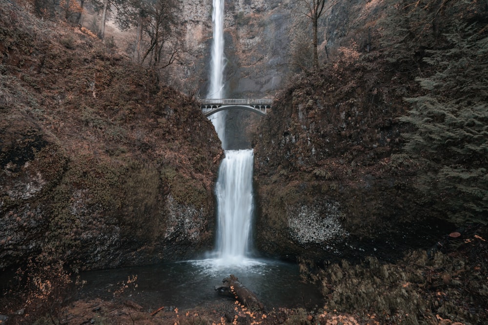 shallow focus photo of waterfalls