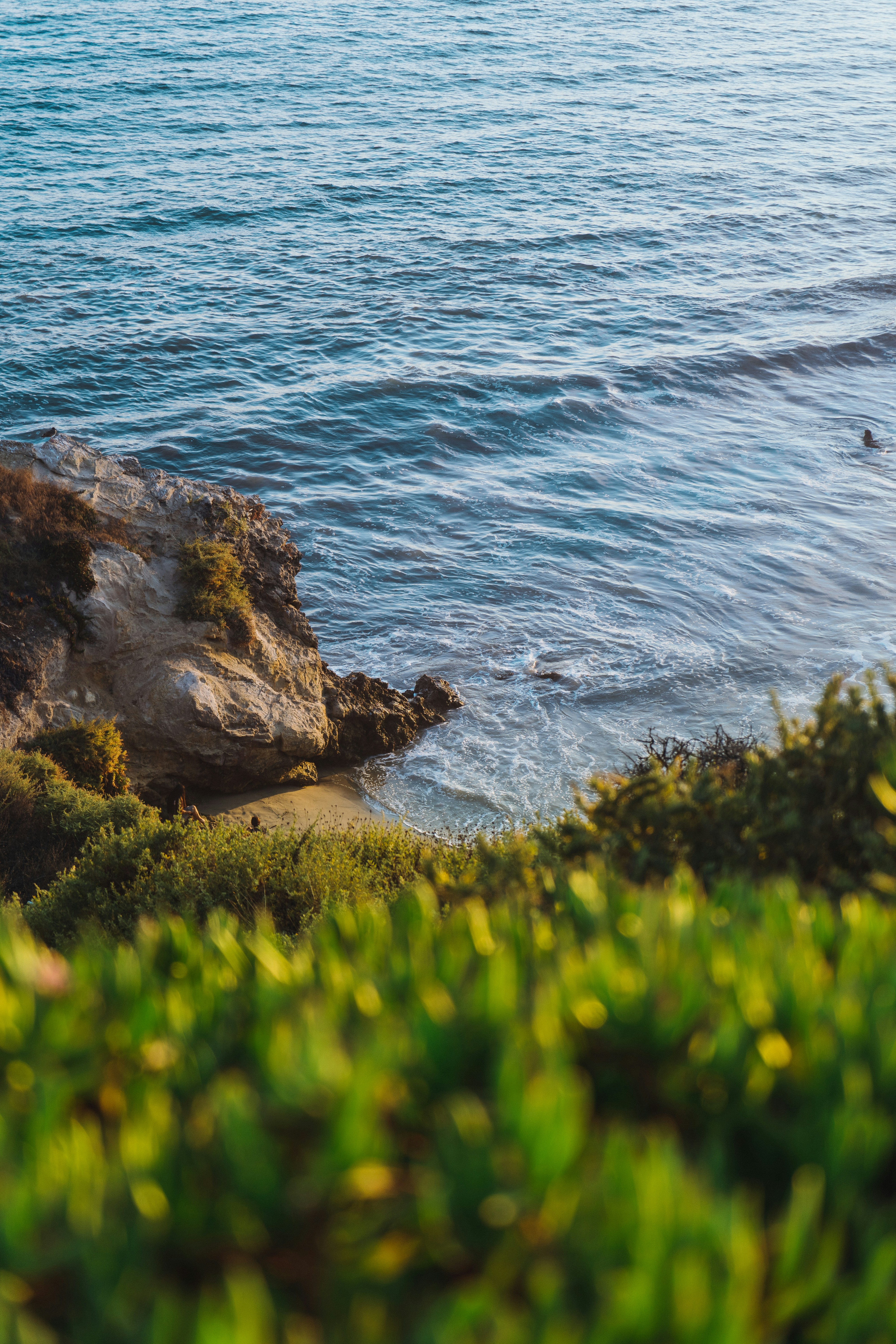 Photo by brandonrussell