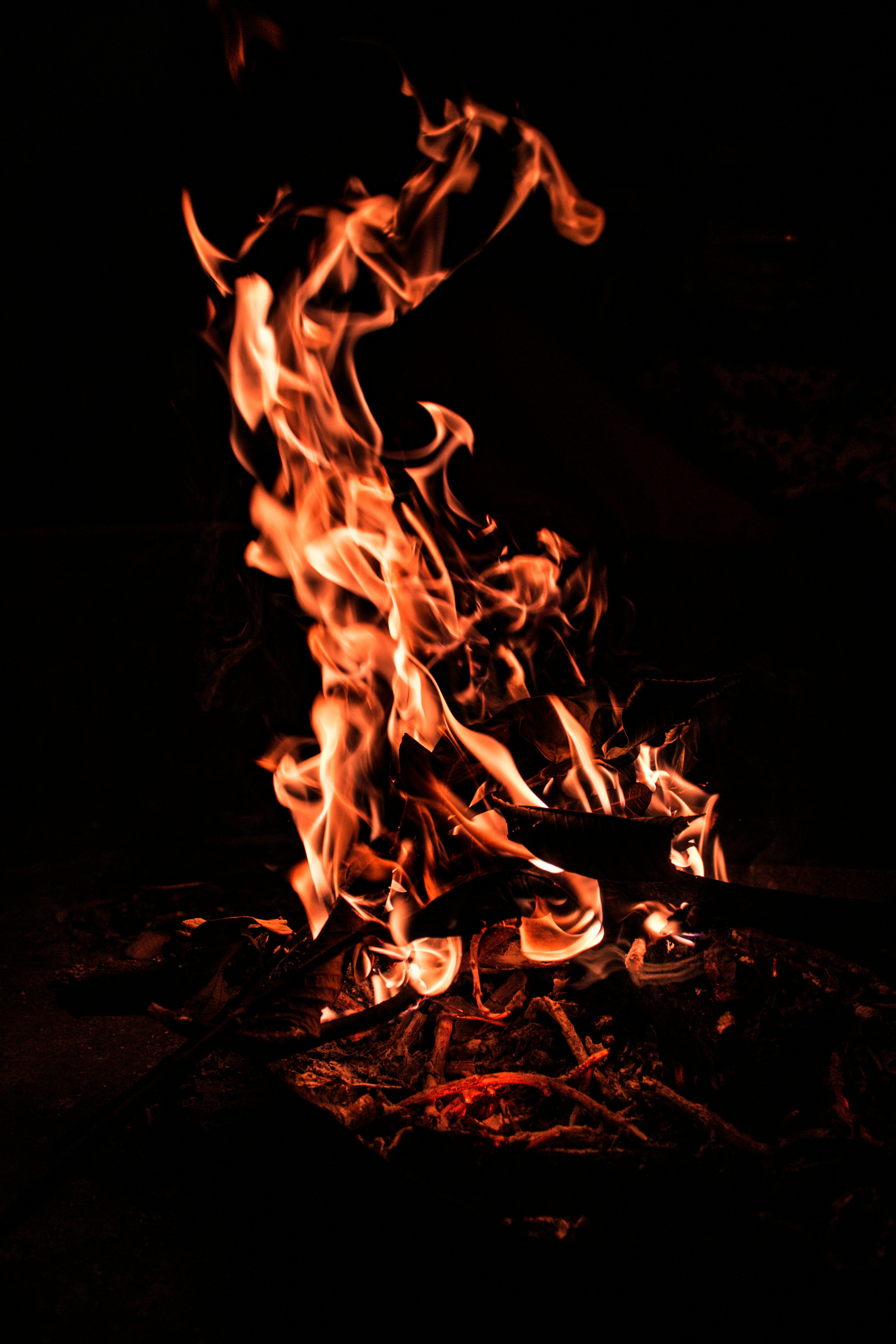 Photo by daniel_joshua_