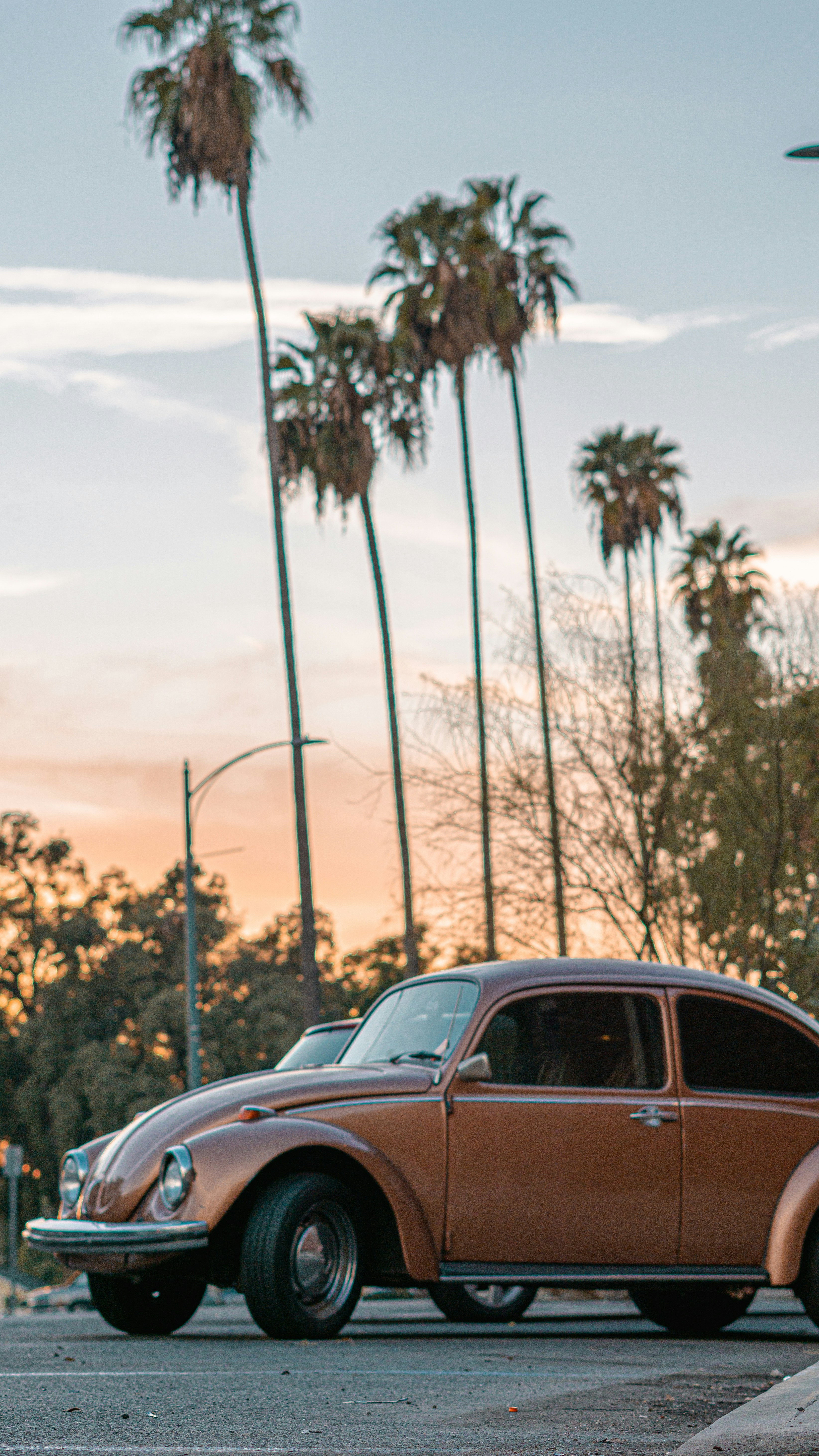 brown Volkswagen beetle