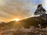 A stunning sunset view over the mountains, casting a golden hue across the landscape.