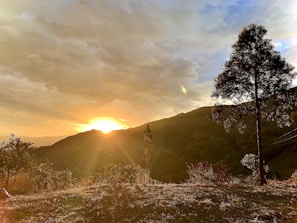 A stunning sunset view over the mountains, casting a golden hue across the landscape.