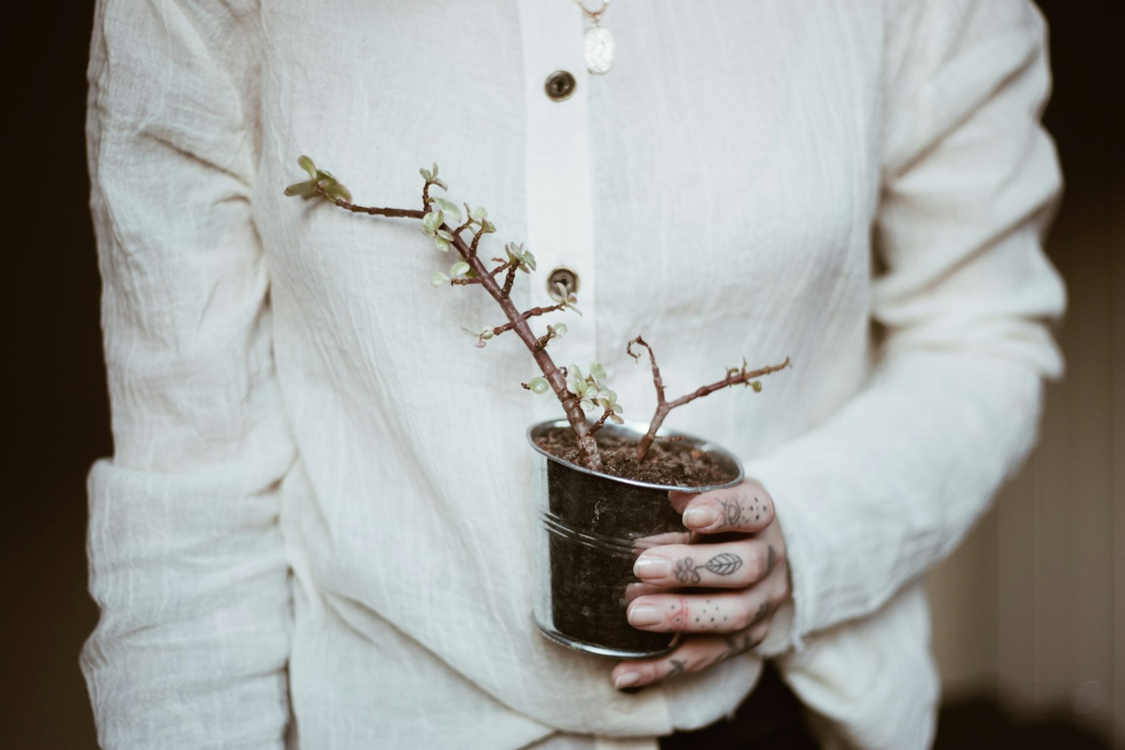 Canon EOS-1D Mark II + Canon EF 50mm F1.8 II sample photo. Person holding plant in photography