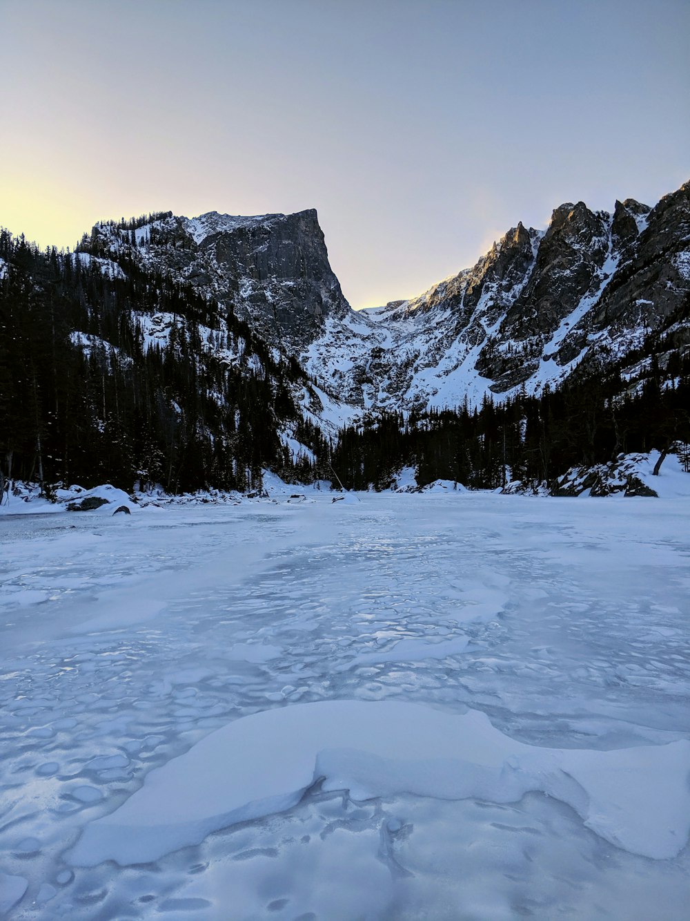 montagnes glaciaires à côté des arbres et champ de neige pendant la journée