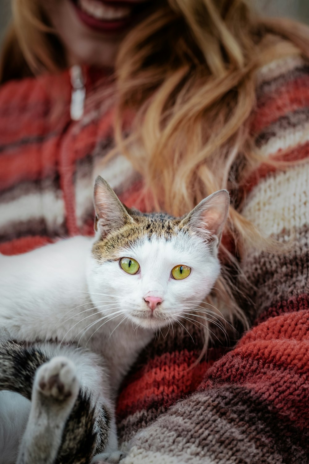 shallow focus photo of person carrying white cat