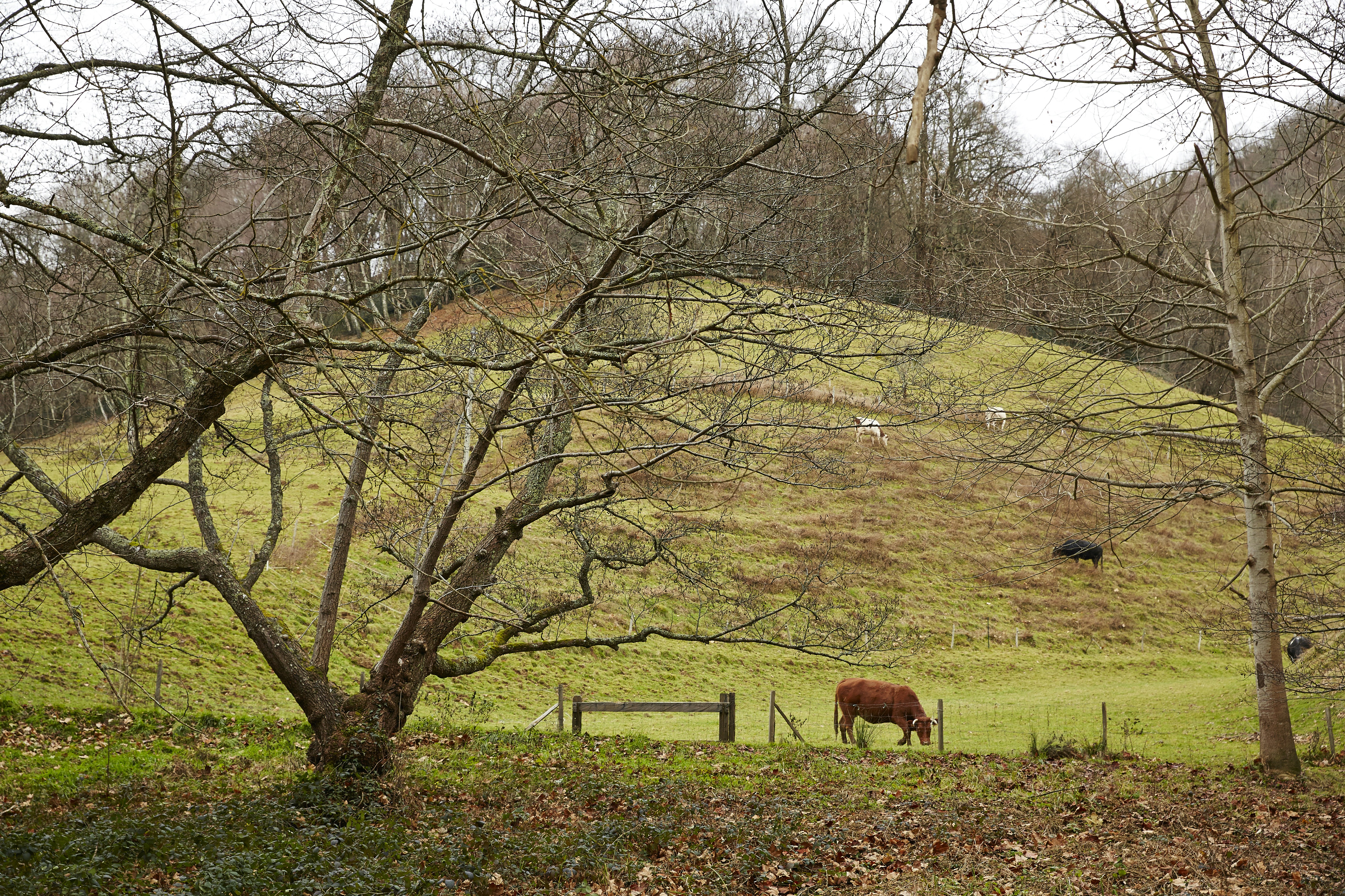 Photo by irinaverdier