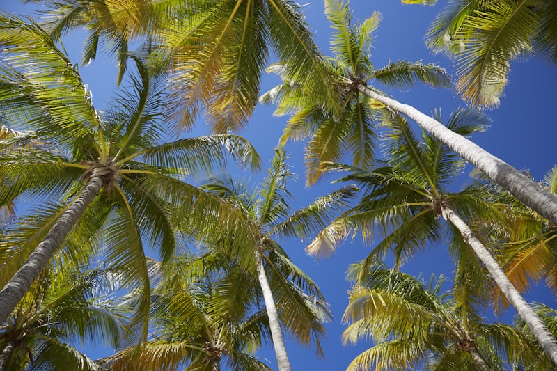 Guadeloupe