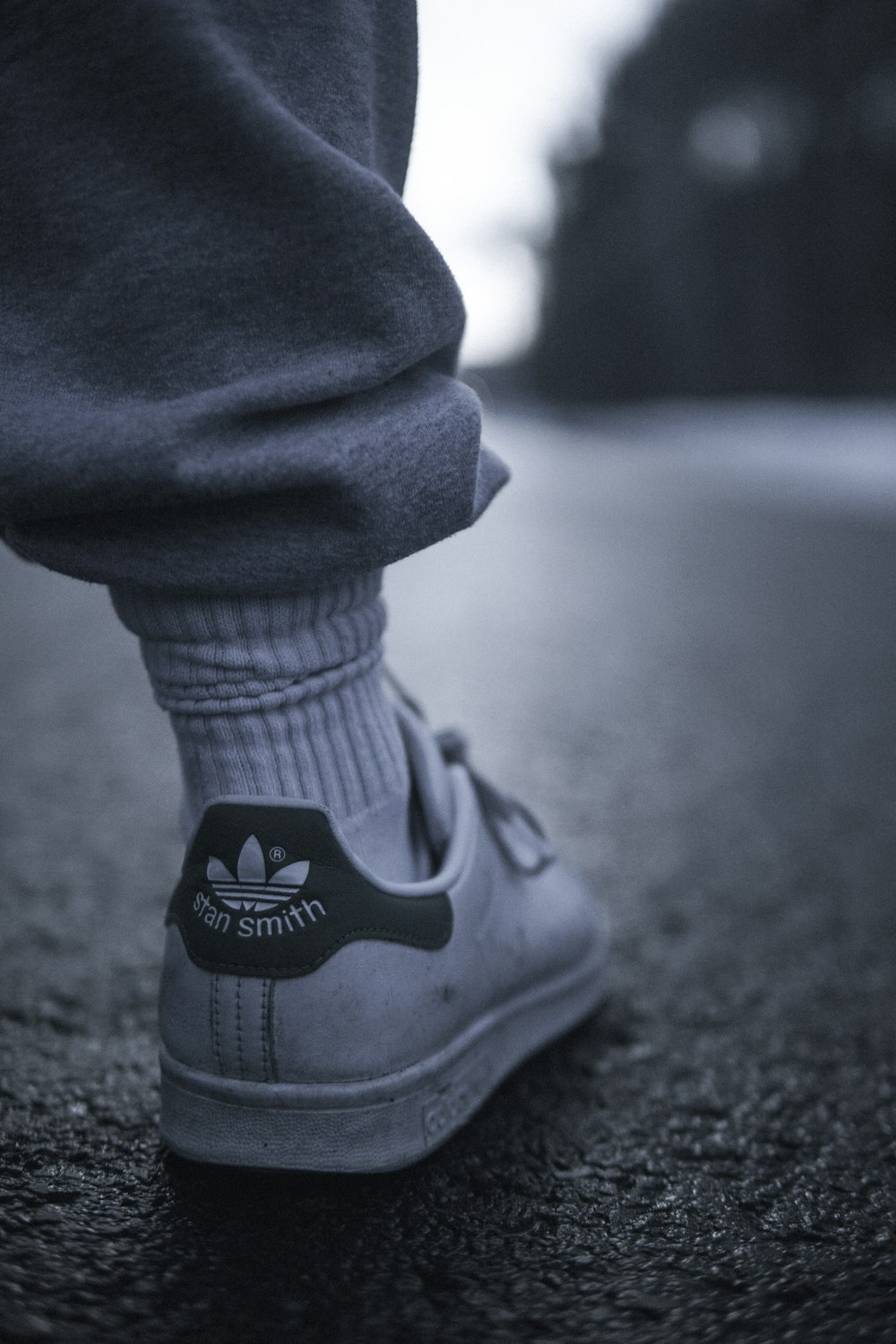 person wearing white and gray Adidas low-top sneaker