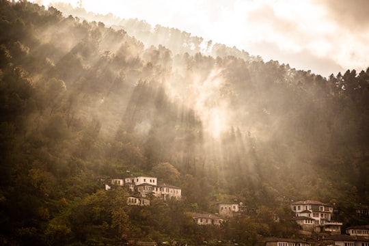 Berat things to do in Skrapar District