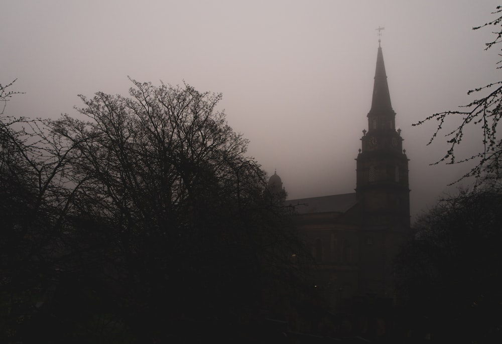 brown cathedral photograph