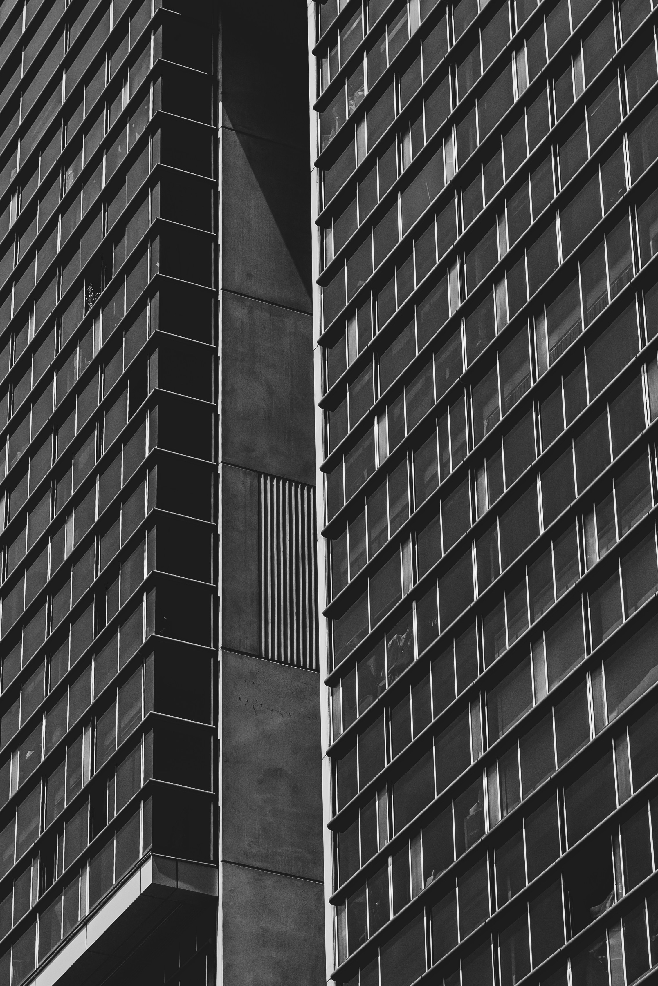 Photo by saxon_white