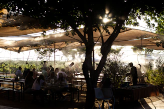 people sitting under umbrellas
