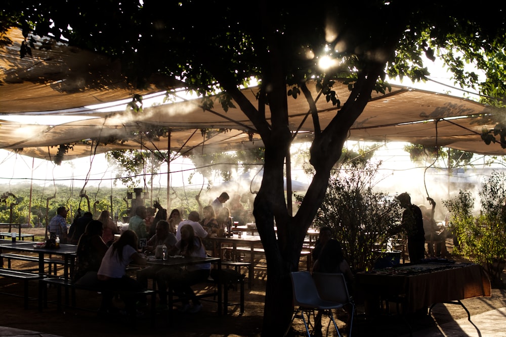 people sitting under umbrellas