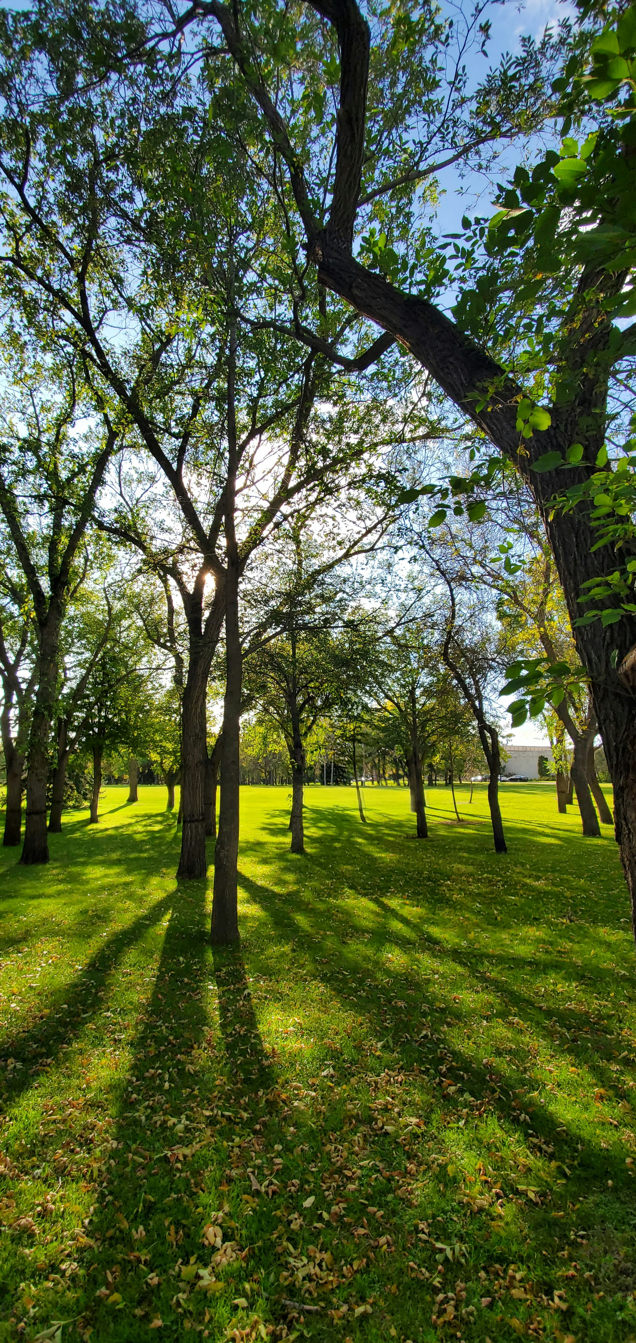 Photo by priyatham_alluri